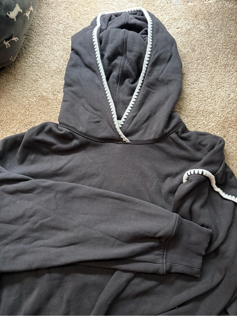 Gray Cropped AE Hoodie with Contrast Trim